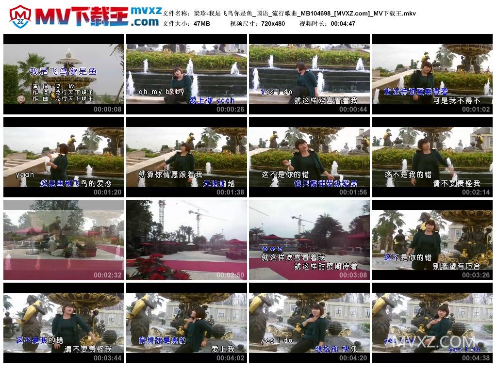 梁珍-我是飞鸟你是鱼_国语_流行歌曲_MB104698